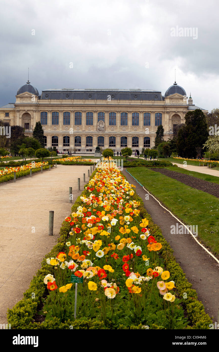 Blick auf die Grande Galerie de l'Évolution im Jardin des Plantes, Paris, Frankreich Stockfoto