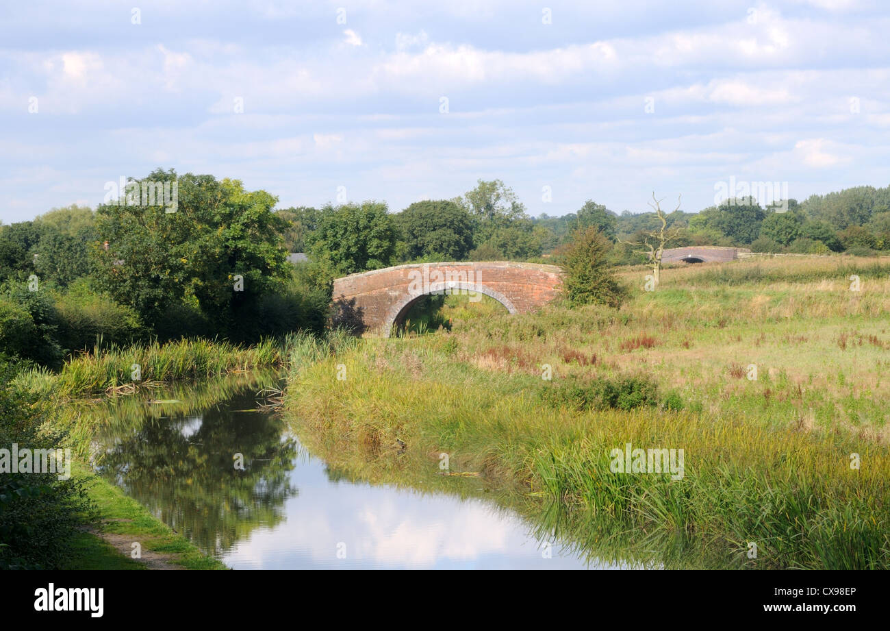 Ashby-de-la-Zouch Canal in der Nähe von Congerstone Leicestershire, England Stockfoto
