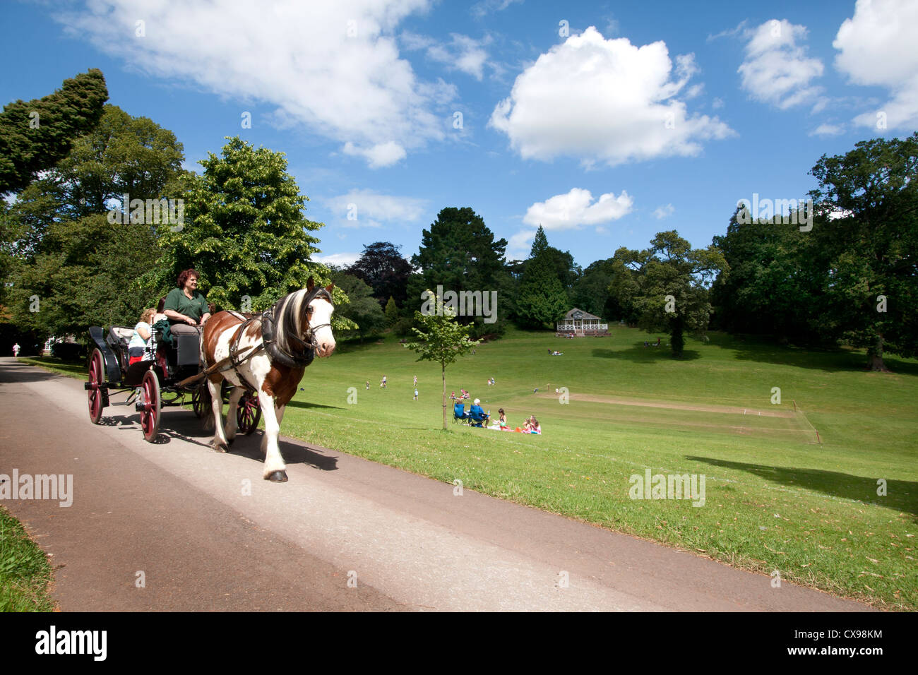 Pferd gezogenen Kutsche, Gelände des Cockington Court, Devon Stockfoto