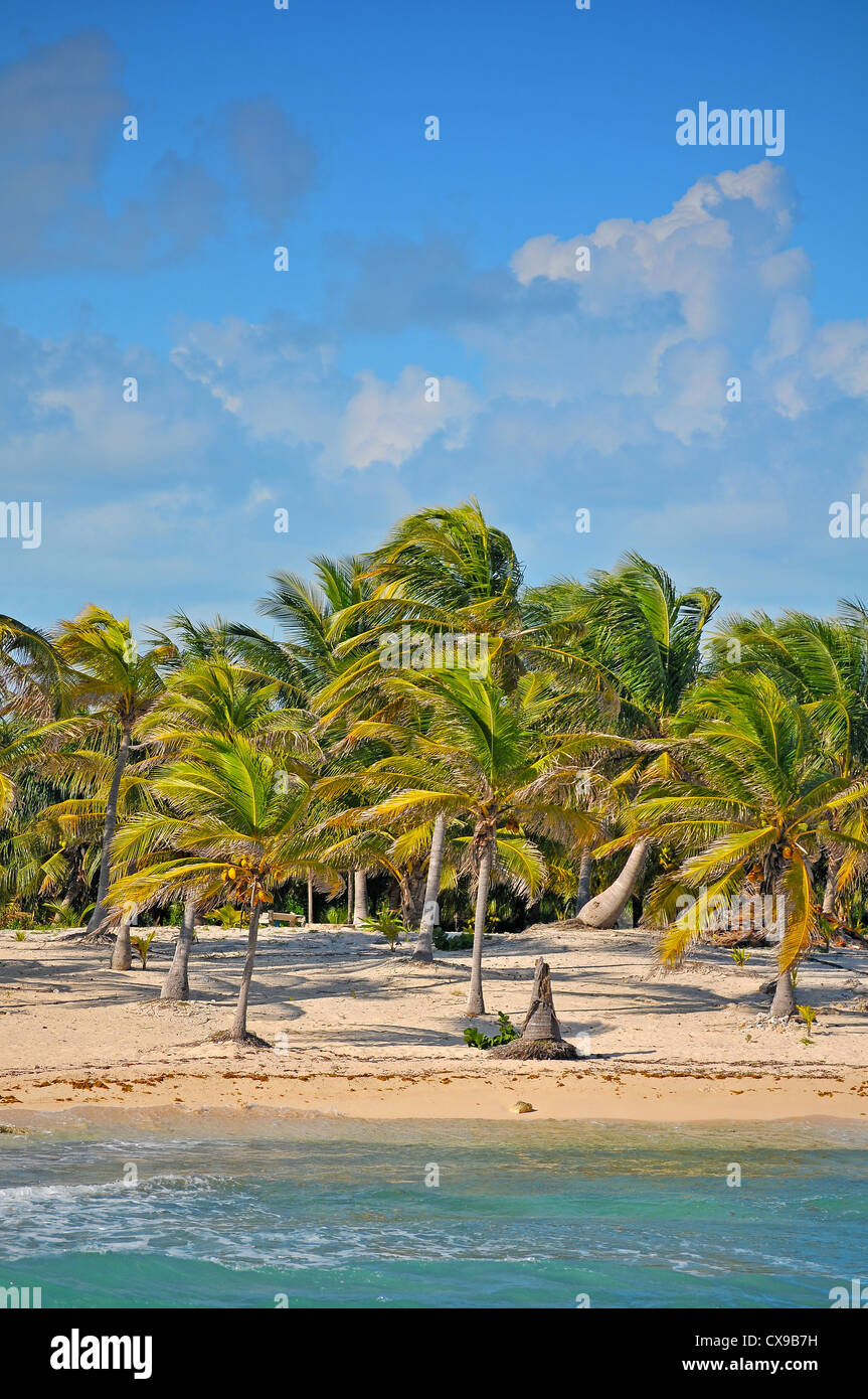 Wunderschönen tropischen Strand Costa Mya - Landschaft Stockfoto