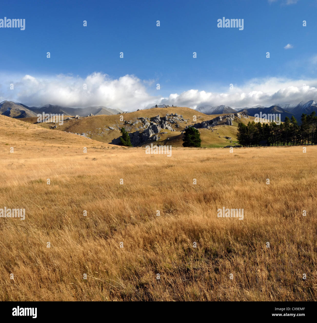 Vertikale Blick des Burgbergs, Canterbury New Zealand. Im Hintergrund sind Kalksteinformationen der Hobbit. Stockfoto