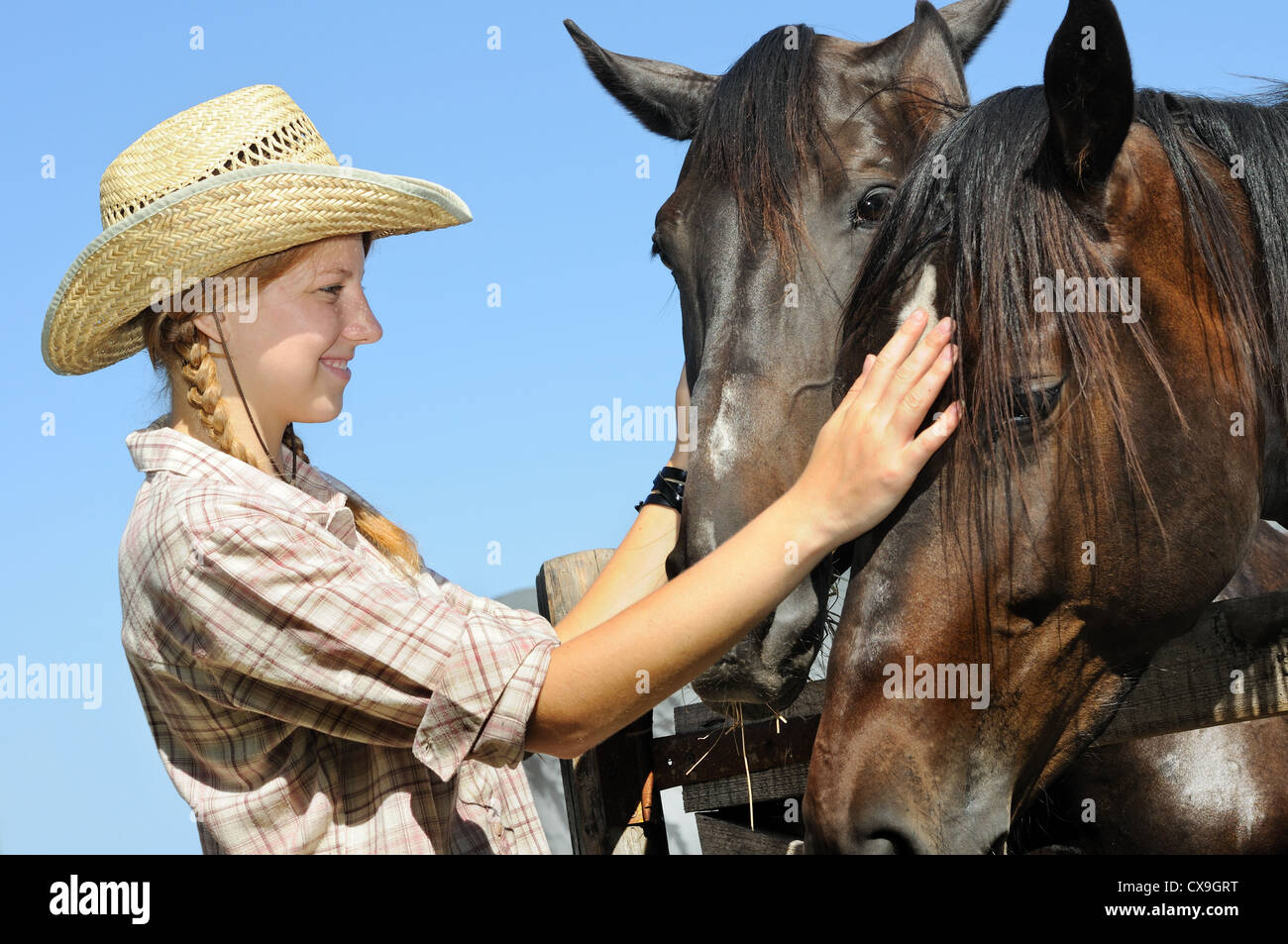 junge Cowgirl und zwei Pferde in der farm Stockfoto