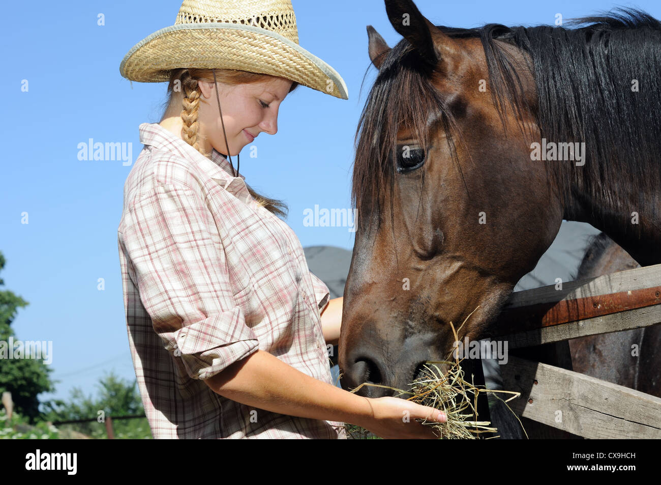 Cowgirl Fütterung der Pferde in der farm Stockfoto
