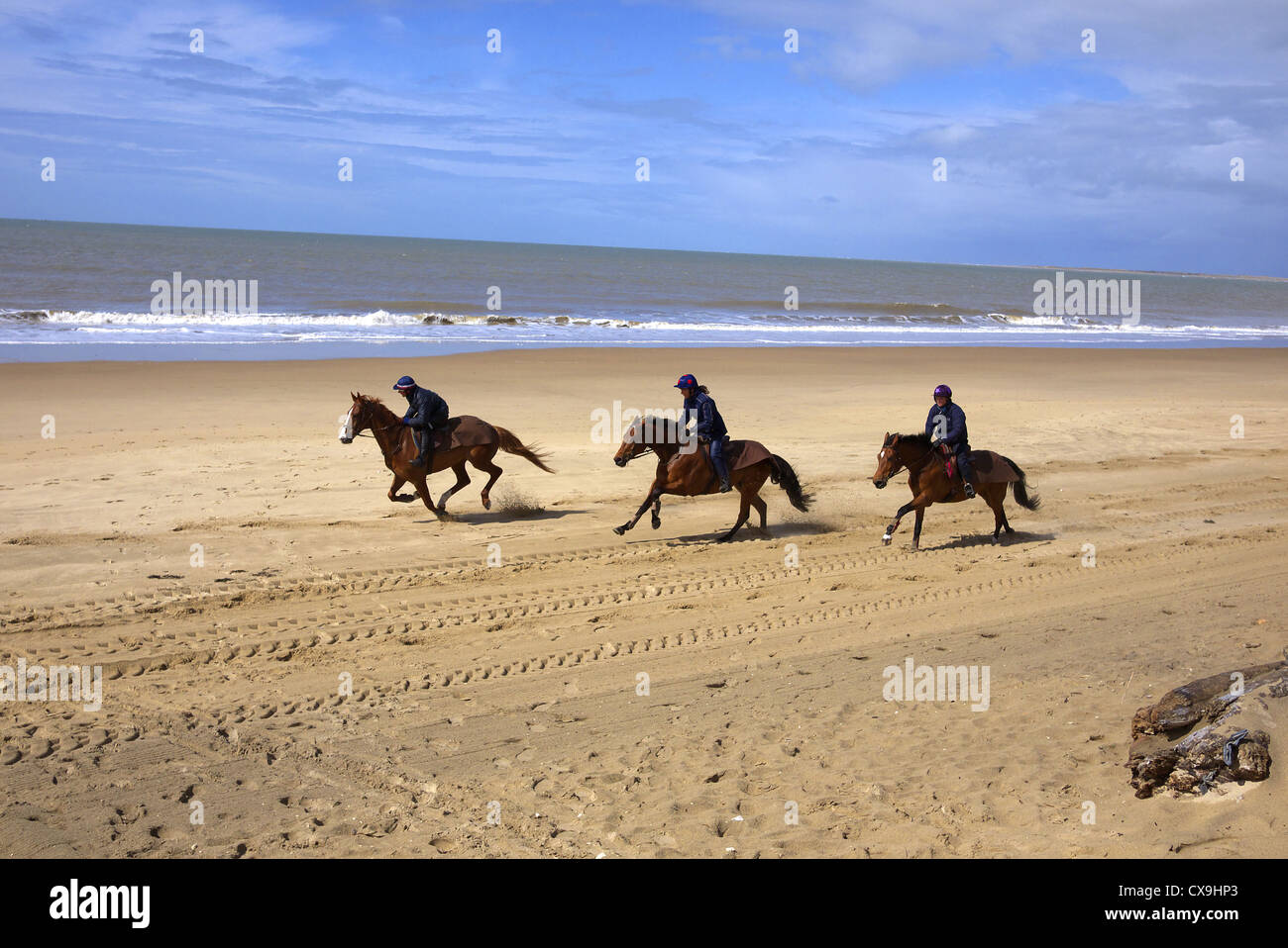Pferde werden an den Stränden entlang der Atlantikküste Frankreichs in der Nähe von Mimizan galoppierte. Stockfoto