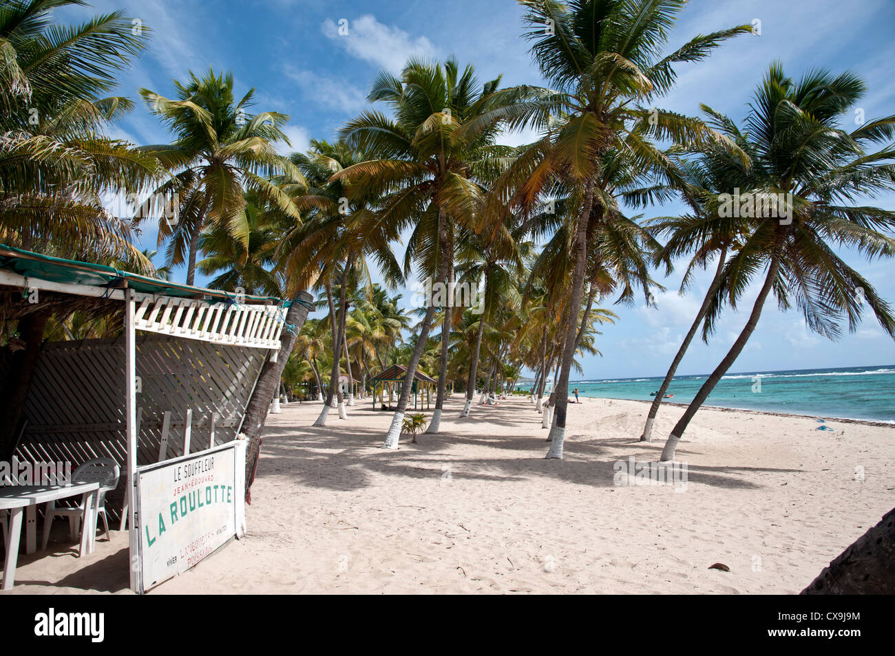 Antillen Karibik französische Guadeloupe La Desirade La Roulotte Le souffleur Stockfoto