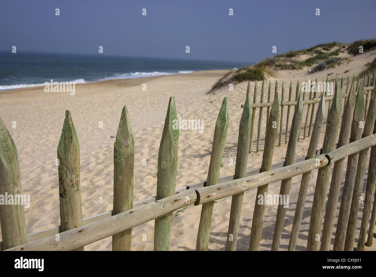 Holzzaun an einem Strand in Portugal. Stockfoto