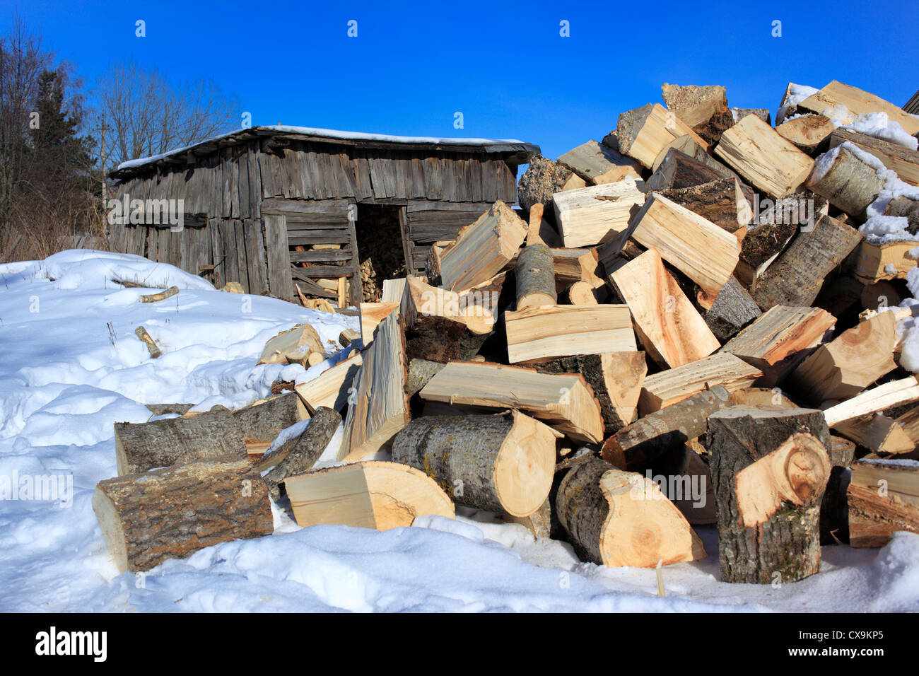 Scheune und Brennholz, winter, Weliki Nowgorod, Nowgorod, Russland Stockfoto