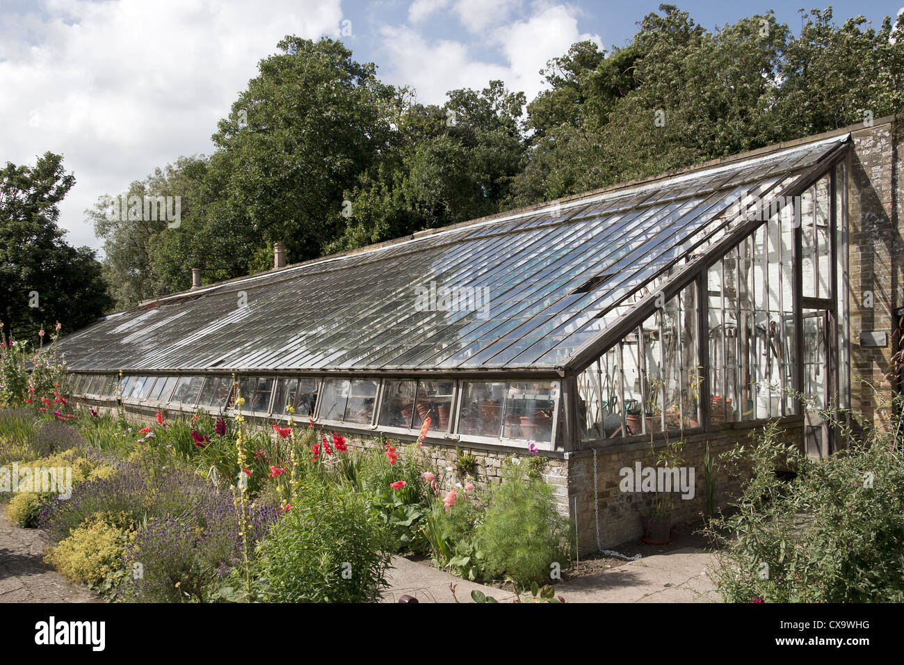 Quex Haus und Gärten Birchington Kent England UK viktorianische Gemüsegarten Gewächshaus Stockfoto