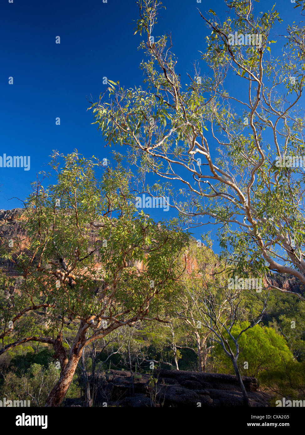 Nourlangie Rock, Kakadu-Nationalpark, Northern Territory Stockfoto