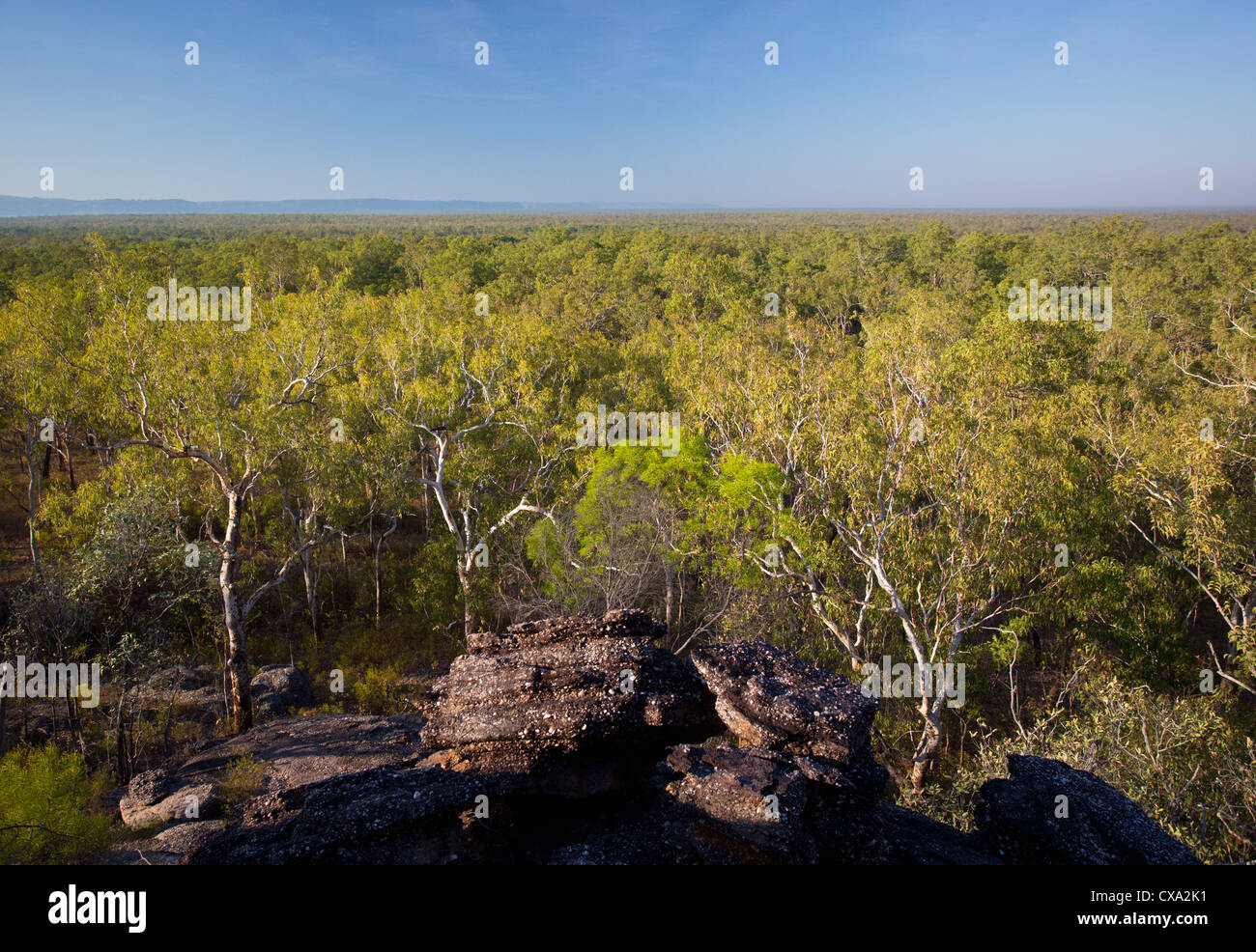 Blick auf den Wald rund um Nourlangie Rock, Kakadu-Nationalpark, Northern Territory Stockfoto