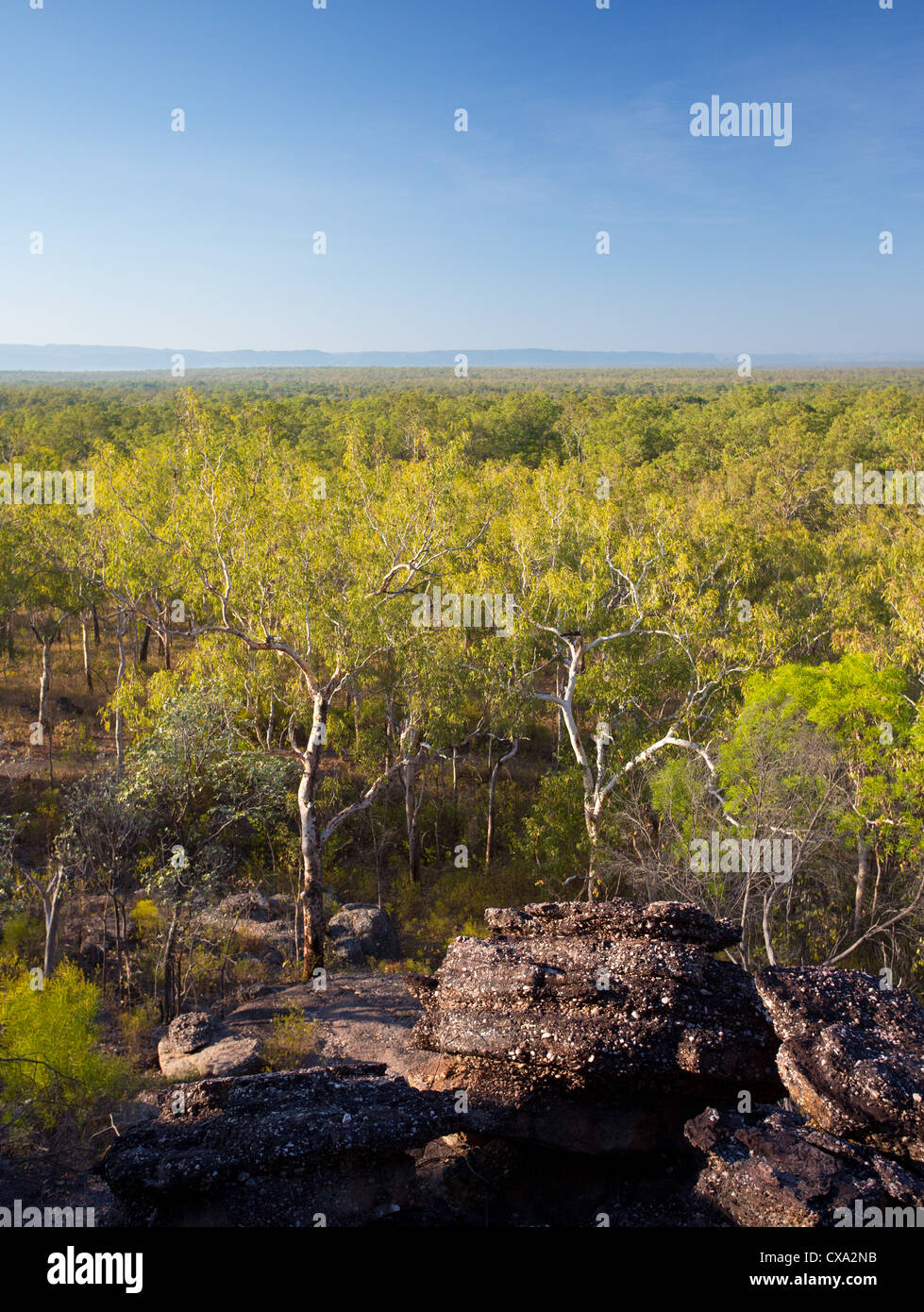 Blick auf den Wald rund um Nourlangie Rock, Kakadu-Nationalpark, Northern Territory Stockfoto