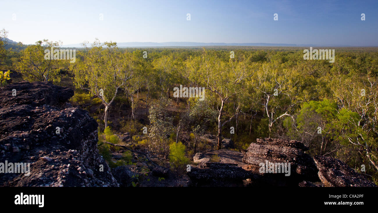 Blick auf den Wald rund um Nourlangie Rock, Kakadu-Nationalpark, Northern Territory Stockfoto