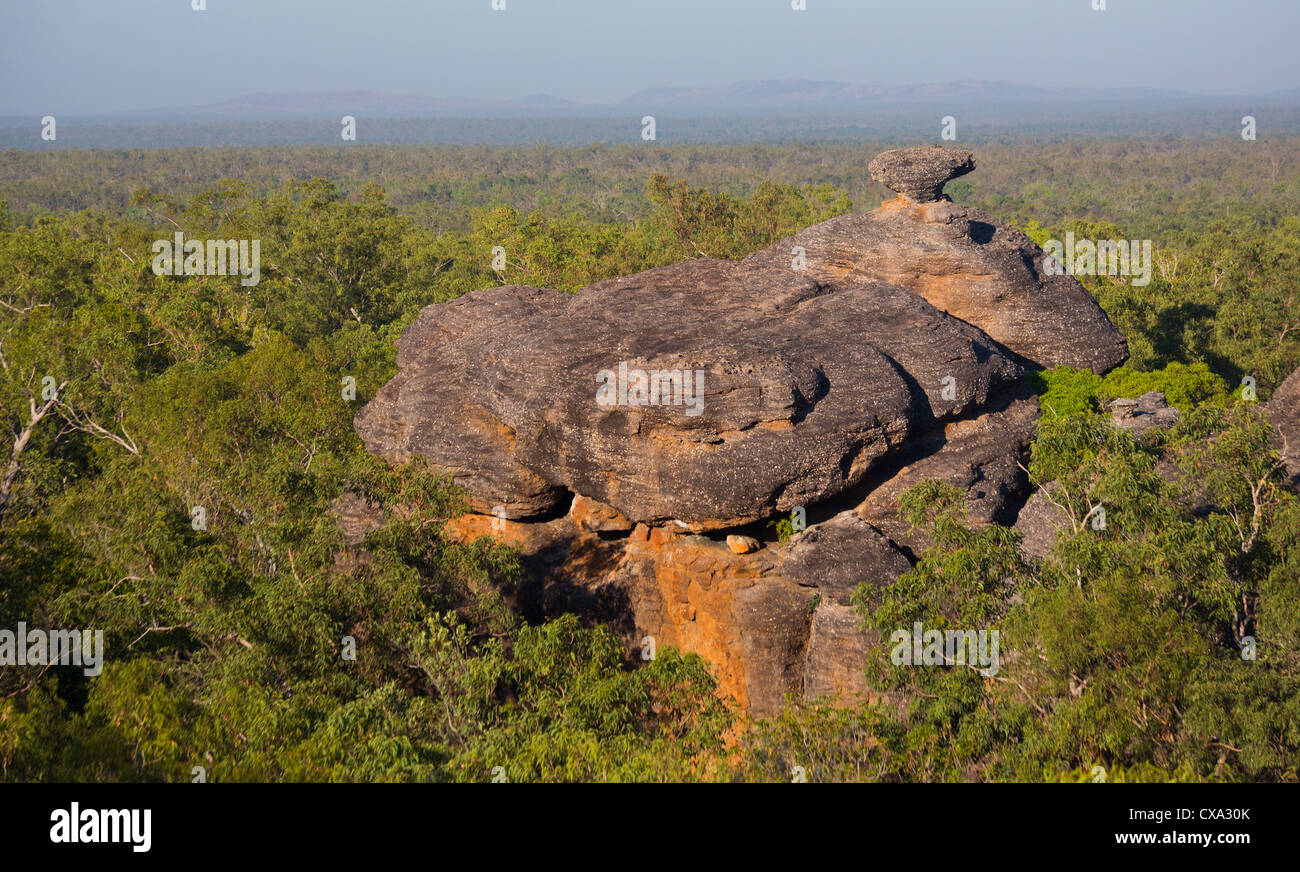 Blick auf den Wald rund um Nourlangie Rock, Kakadu-Nationalpark, Northern Territory Stockfoto