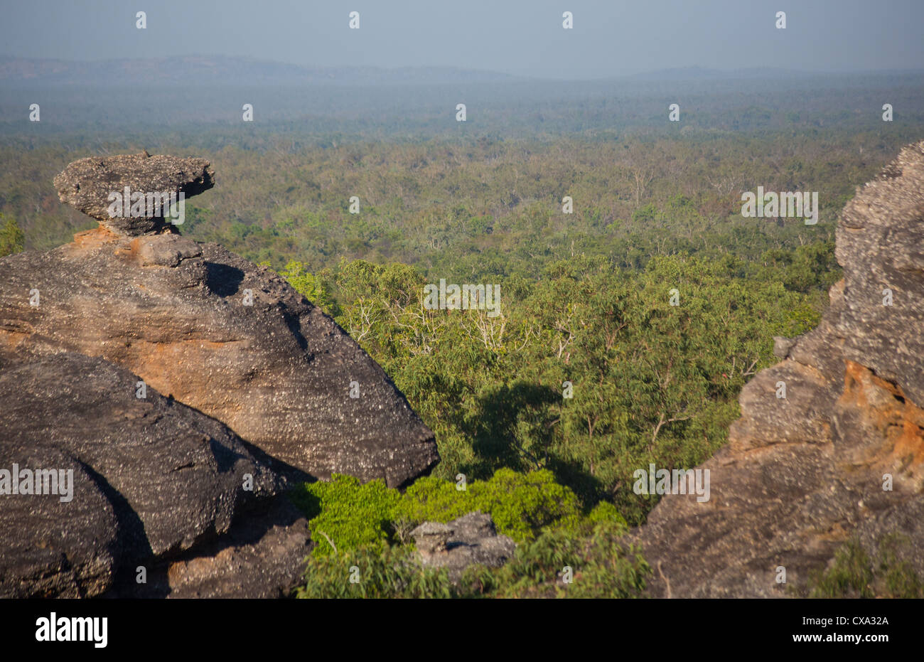 Blick auf den Wald rund um Nourlangie Rock, Kakadu-Nationalpark, Northern Territory Stockfoto
