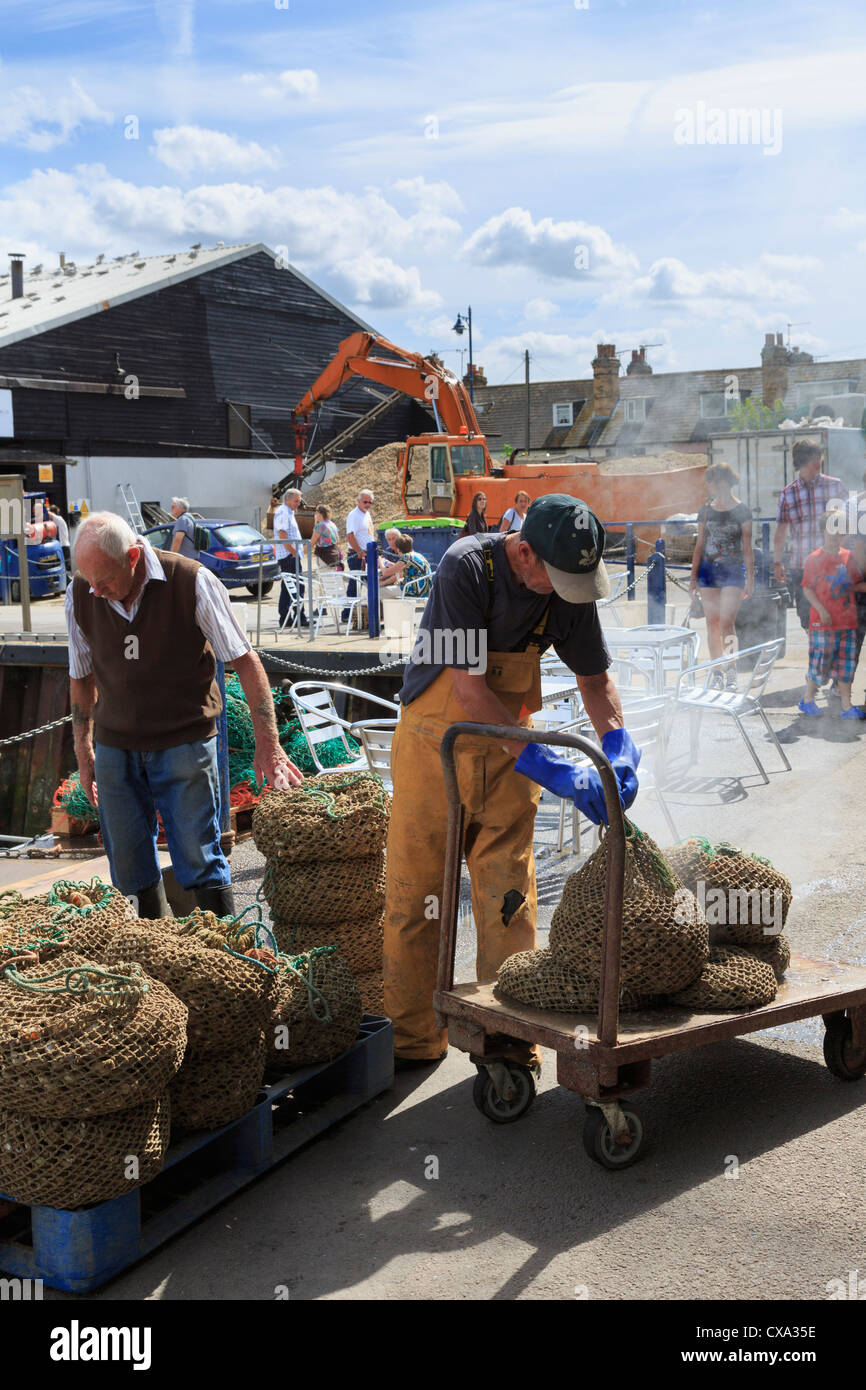 Männer mit dampfenden Taschen von gekochte Wellhornschnecken Whitstable Fischerei Hafen Kai versandfertig in Whitstable, Kent, England, UK, Großbritannien Stockfoto