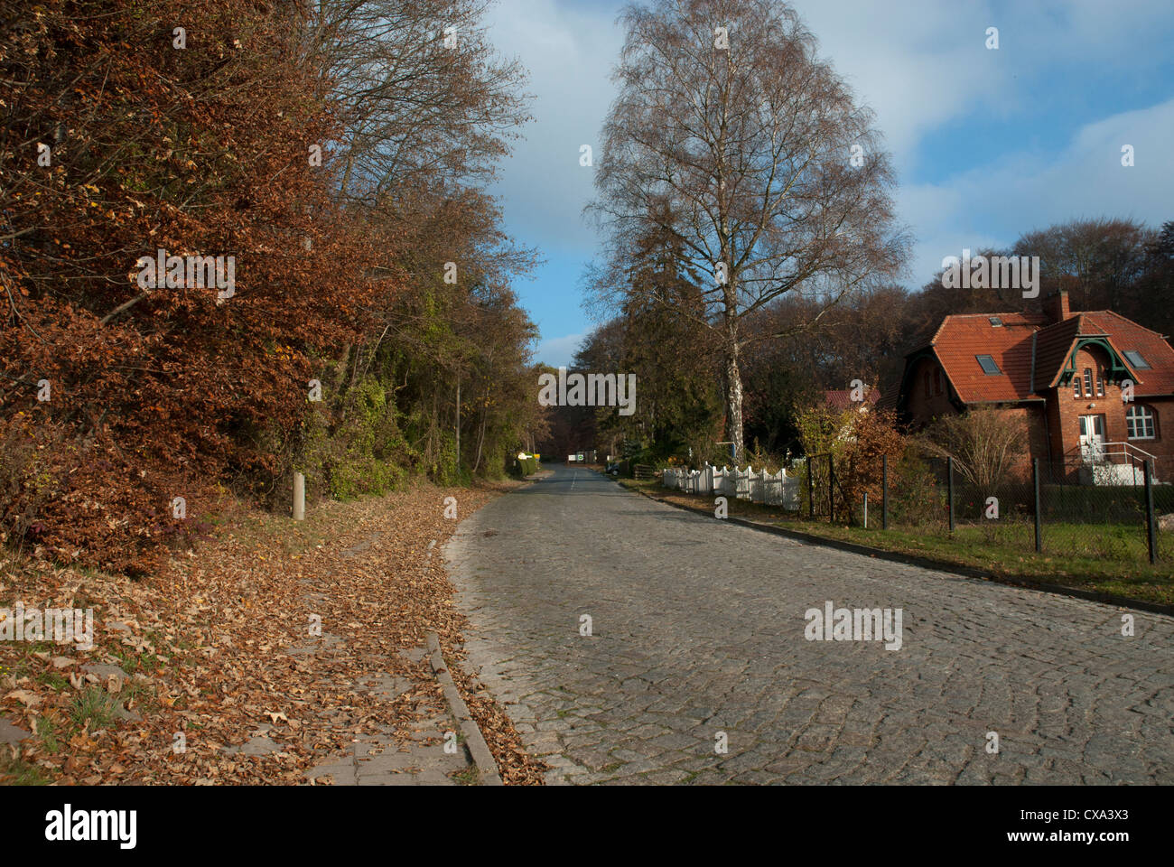 Stubbenkammerstrasse in Richtung Sassnitz, Rügen, Nationalpark Jasmund, Germanz Stockfoto