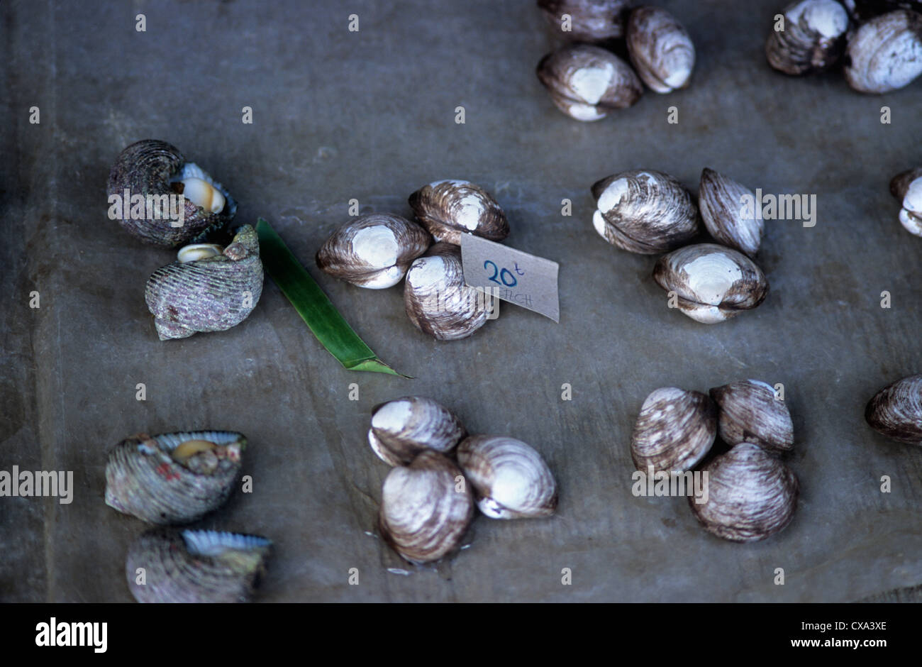 Papua Neu Guinea, Alotau, Speisen, lokale Schnecken & Muscheln, produzieren in Alotau Markt mit 20 t Preisschild. Stockfoto