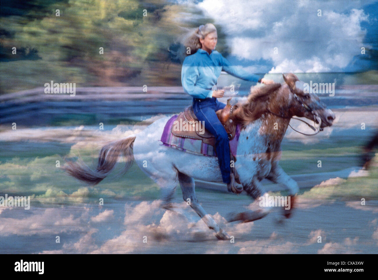 Reining montage Lake Forest, Illinois, appaloosa Stockfoto