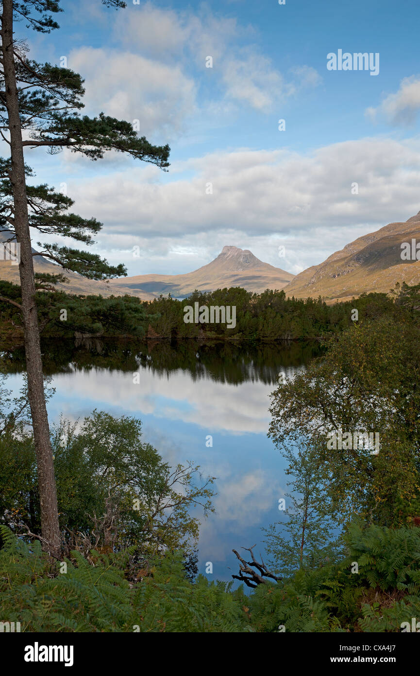 Stac Polly aus Dumrunie Loch, Wester Ross. Schottland.    SCO 8544 Stockfoto