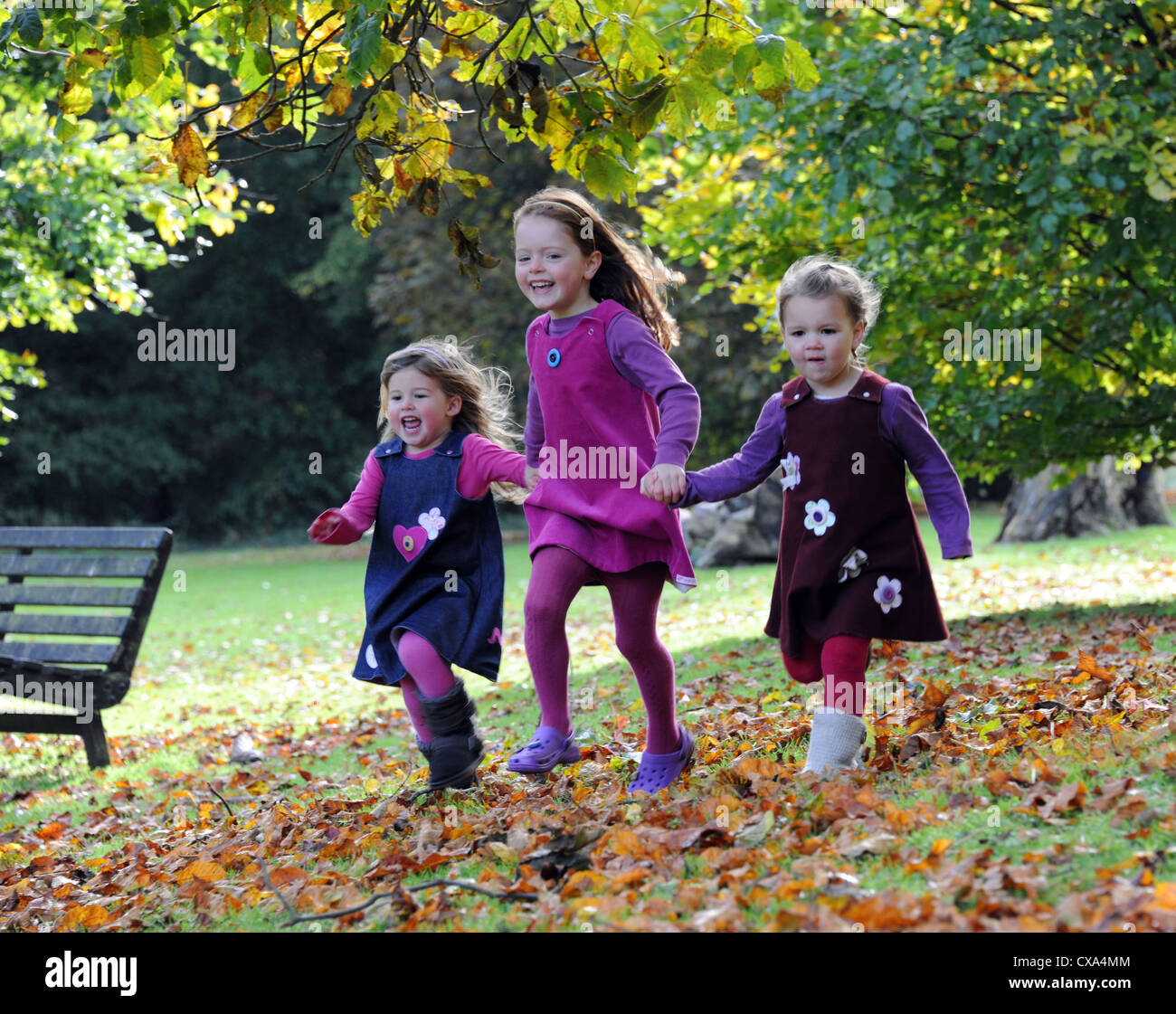 Drei junge Mädchen, die herbstlichen Blätter auf Hubbards Hügeln durchzogen. Stockfoto