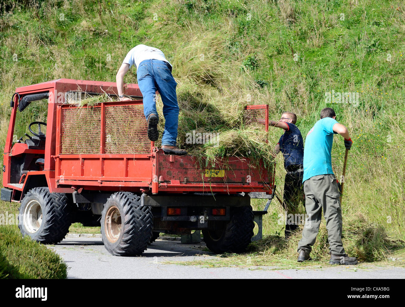 Gärtner schneiden und clearingRasen Stockfotografie Alamy