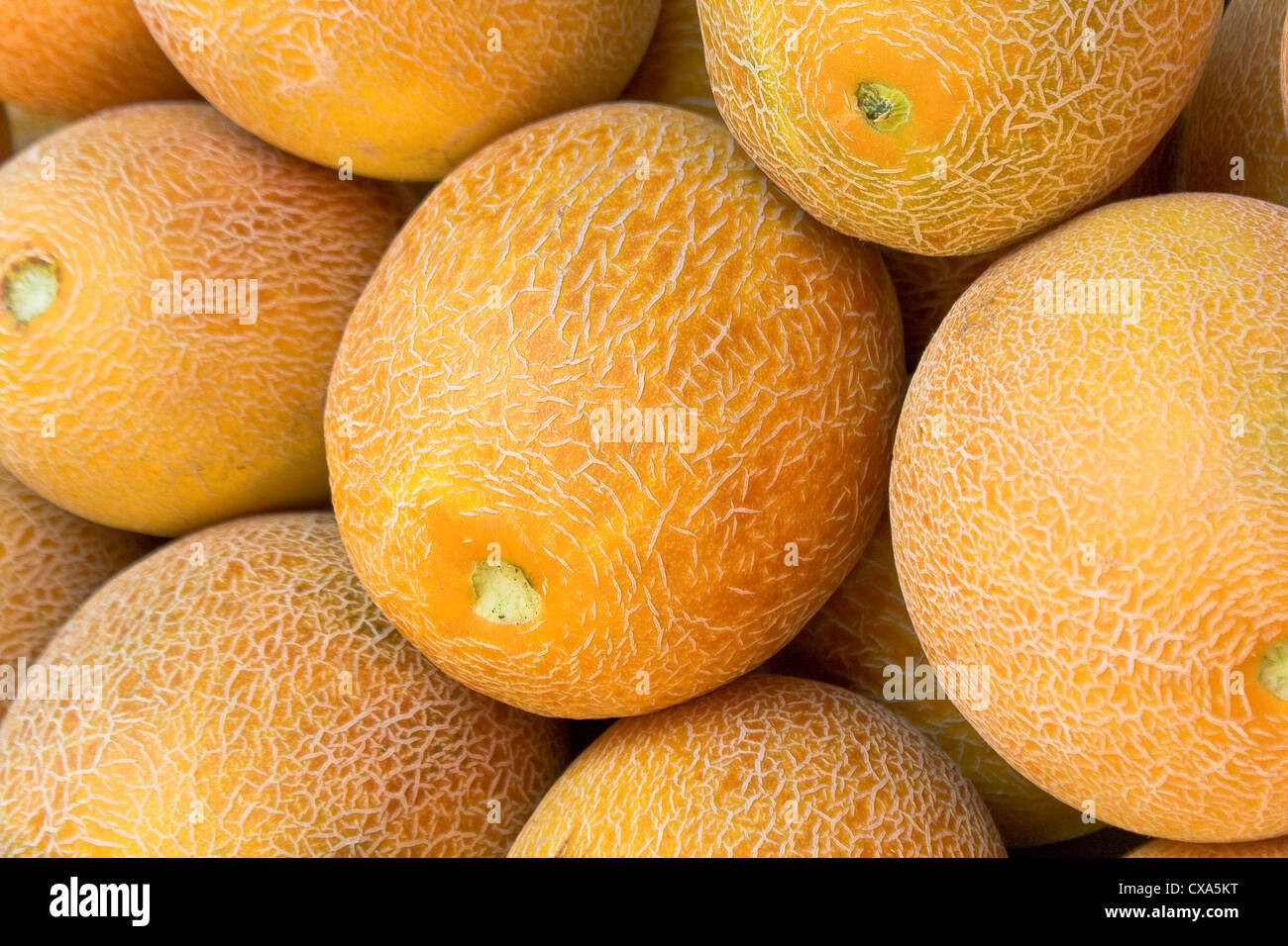 Cantaloupe Melonen als Hintergrund Stockfoto