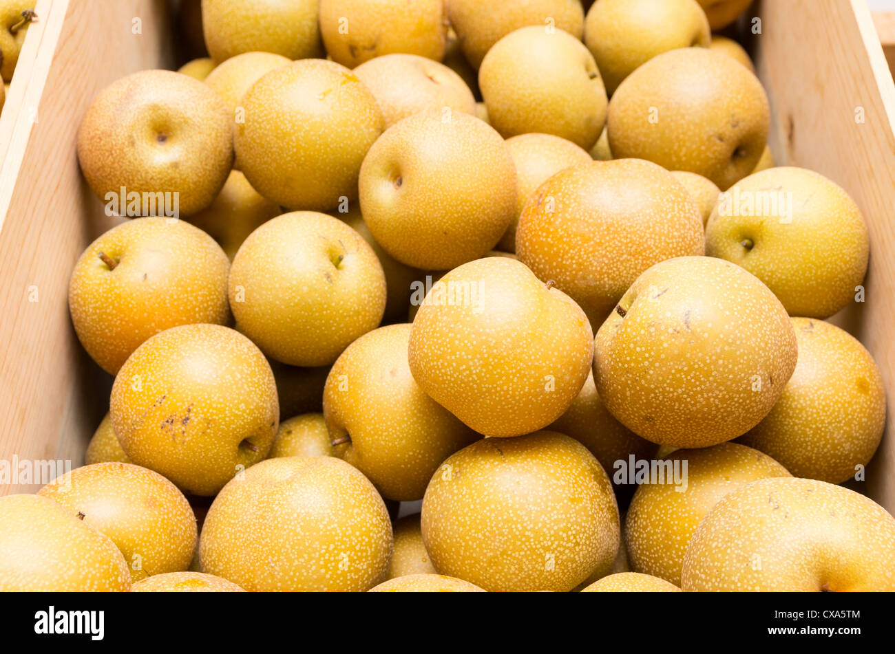 Frisch gepflückt asiatische Birnen angezeigt in Holzkiste Stockfoto