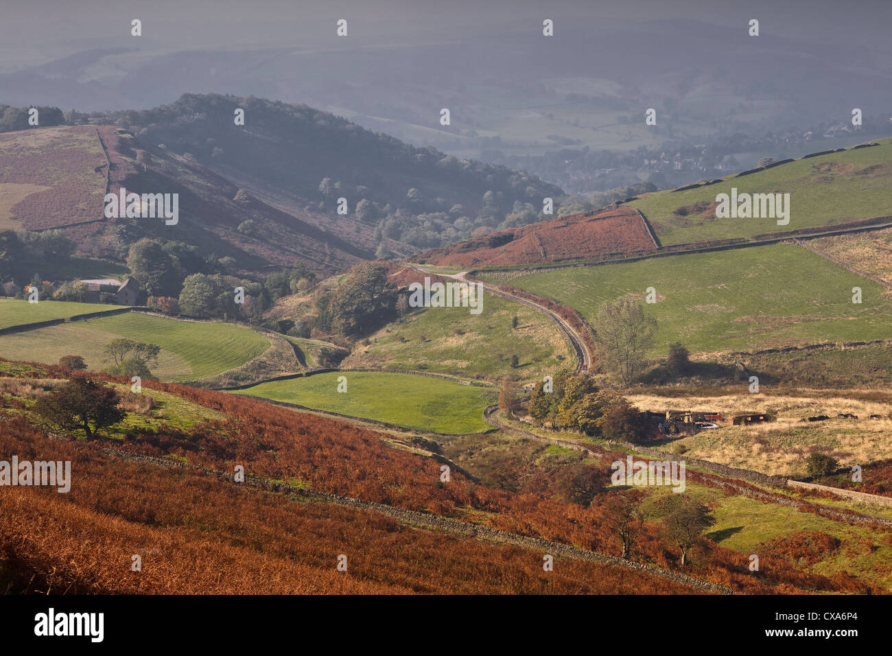 Mit Blick auf unreifen Bank von Fiddler's Elbow im Peak District, Derbyshire. Stockfoto