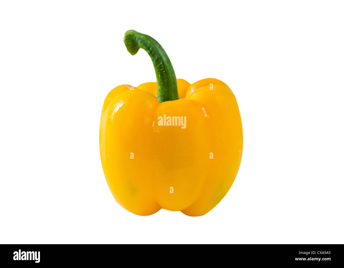 Gelbe Paprika auf weißem Hintergrund Stockfoto