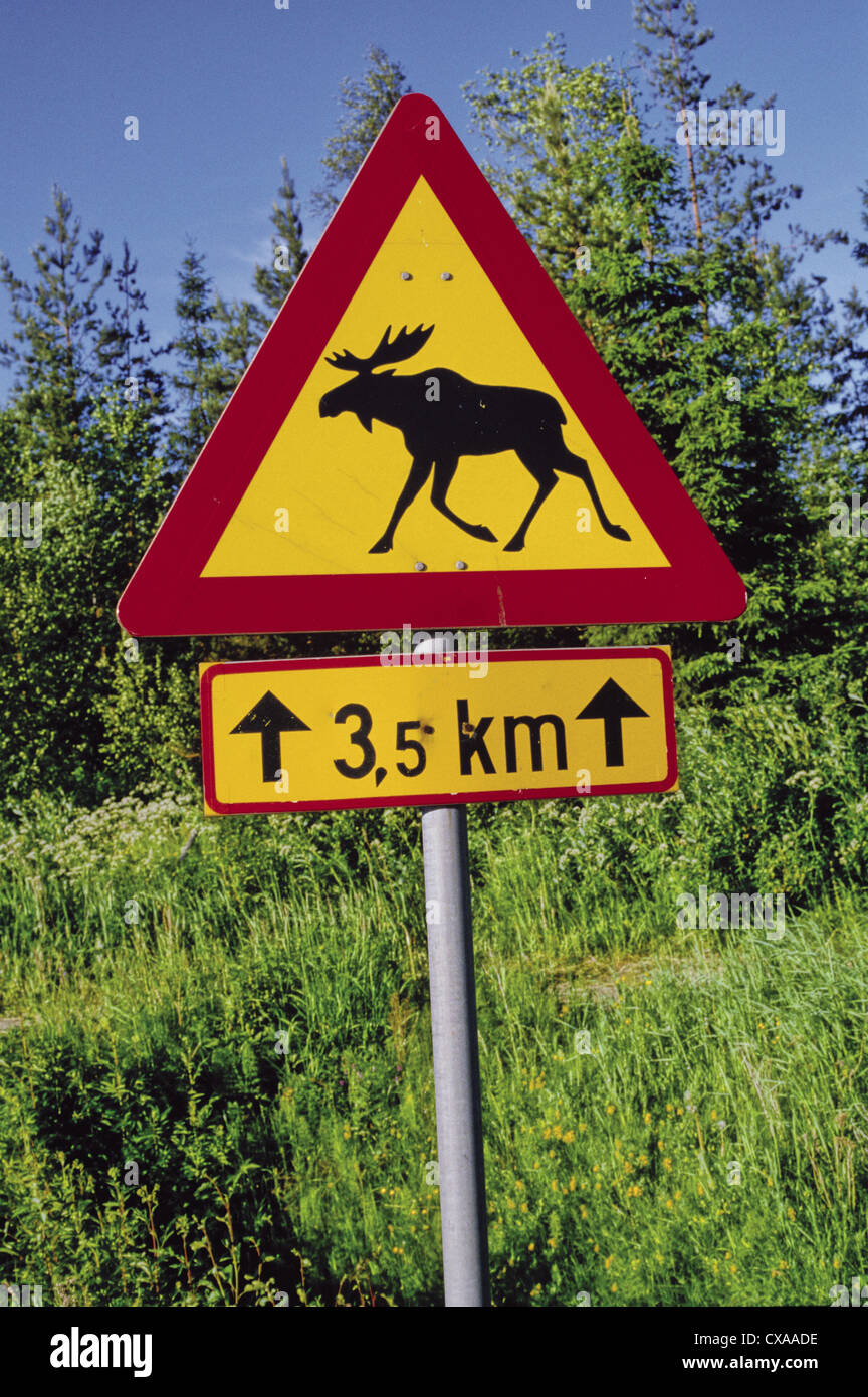 Moose Crossing Schild, Finnland Stockfoto