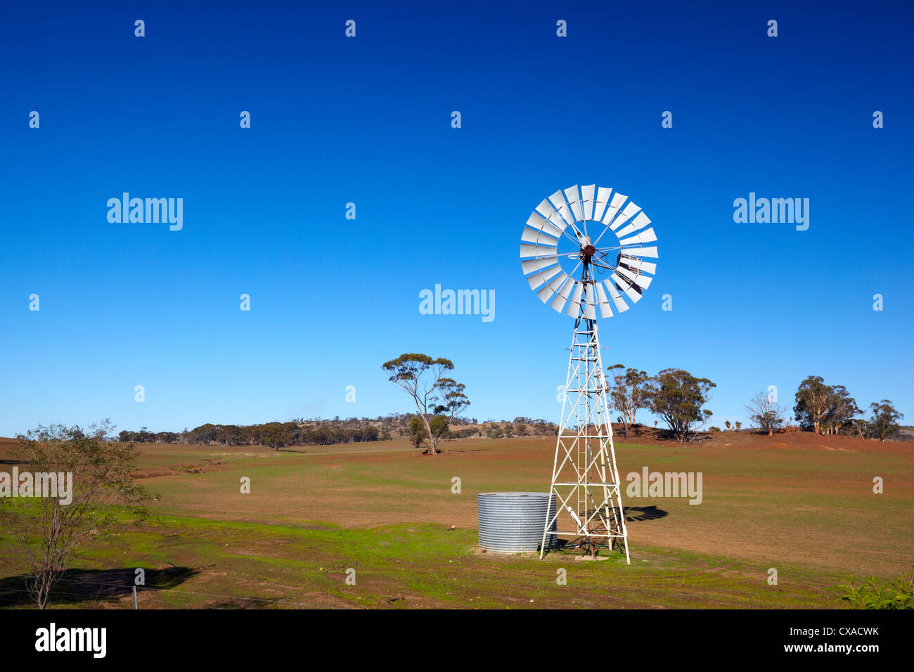 Windmühle, Brookton Higway, Western Australia, Australia Stockfoto
