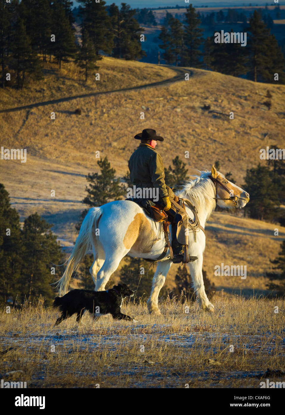 Cowboy auf seinem Pferd auf einer Ranch im nordöstlichen Wyoming Stockfoto