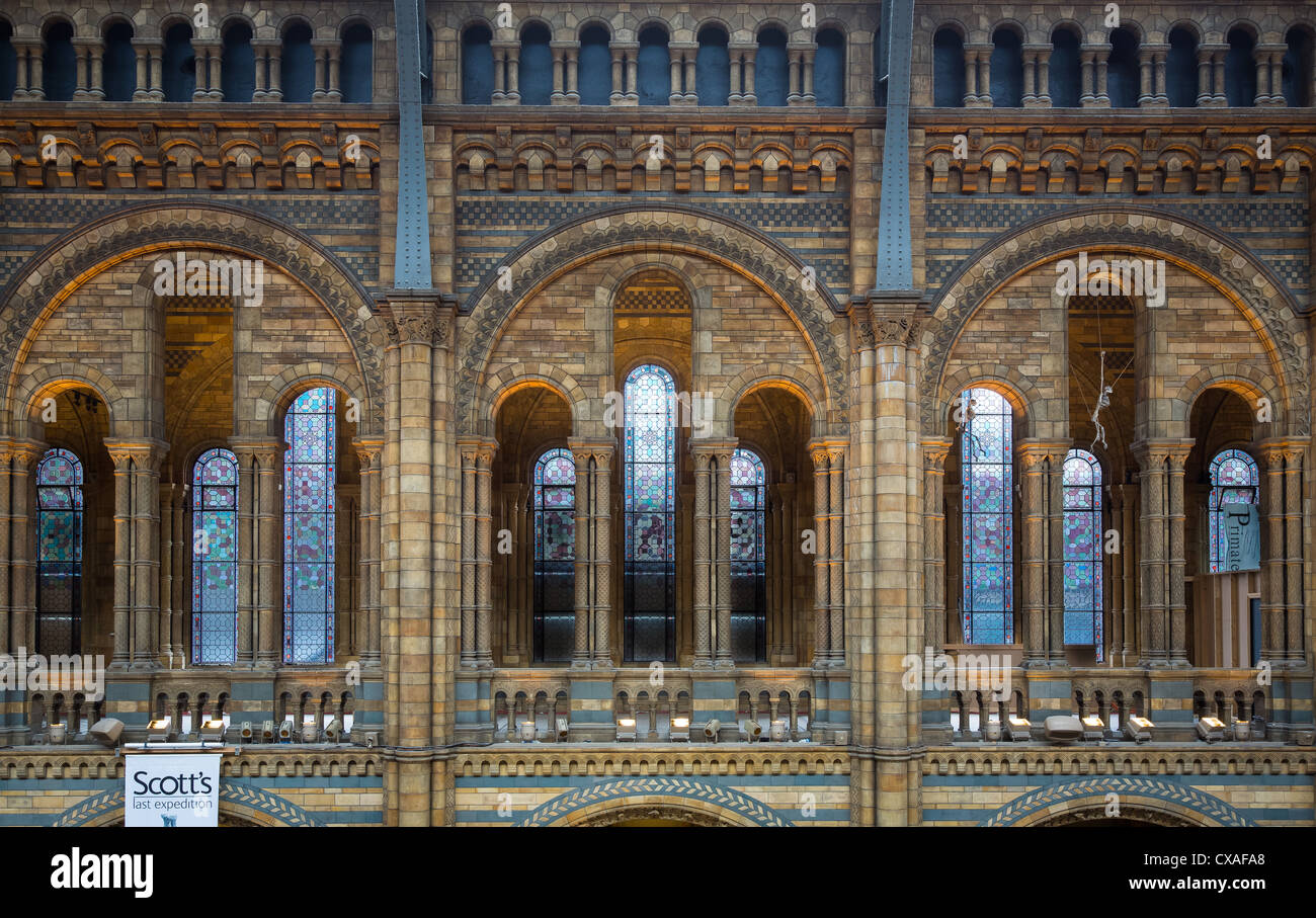 Das Natural History Museum ist auf Ausstellung Road, South Kensington, London, England Stockfoto