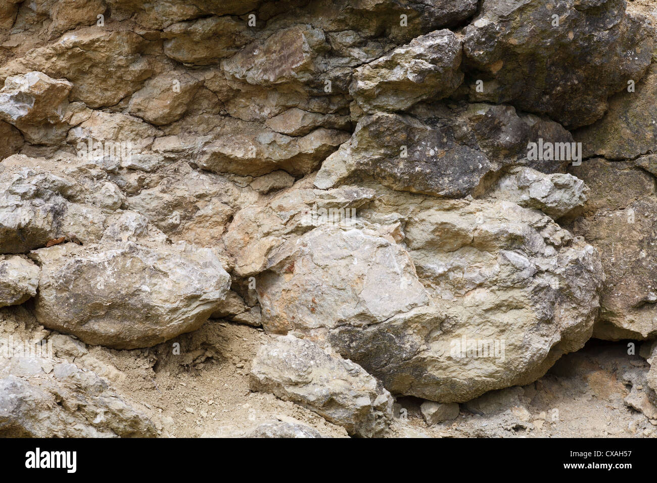 Silurian Kalkstein in einem Steinbruch on Wenlock Edge, zeigt eine Riffformation. Shropshire, England. Stockfoto