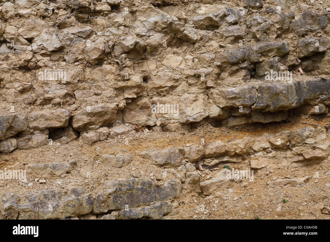 Silurian Kalkstein in einem Steinbruch auf Wenlock Edge, Bettwäsche zeigt. Shropshire, England. Stockfoto