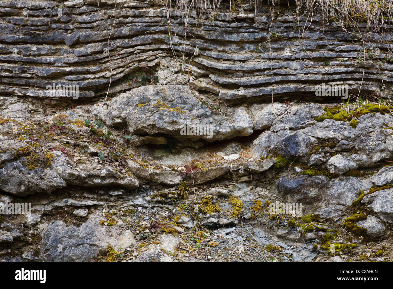 Silurian Kalkstein in einem Steinbruch on Wenlock Edge, zeigt Betten über eine Riffformation gelegt. Knowle Steinbruch. Shropshire. Stockfoto