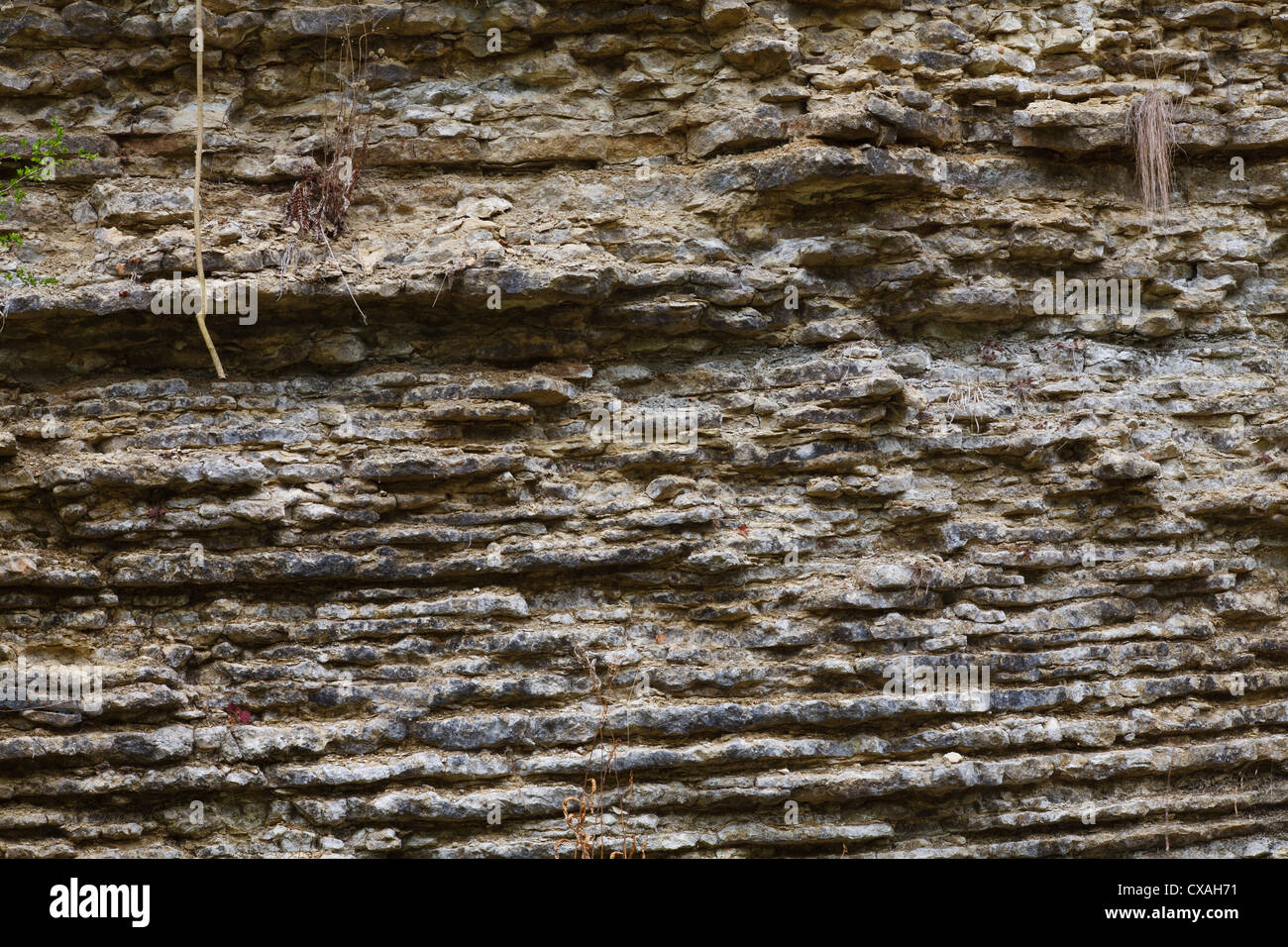 Silurian Kalkstein in einem Steinbruch on Wenlock Edge, zeigt geschichteten Bettwäsche. Knowle Steinbruch. Shropshire, England. Stockfoto