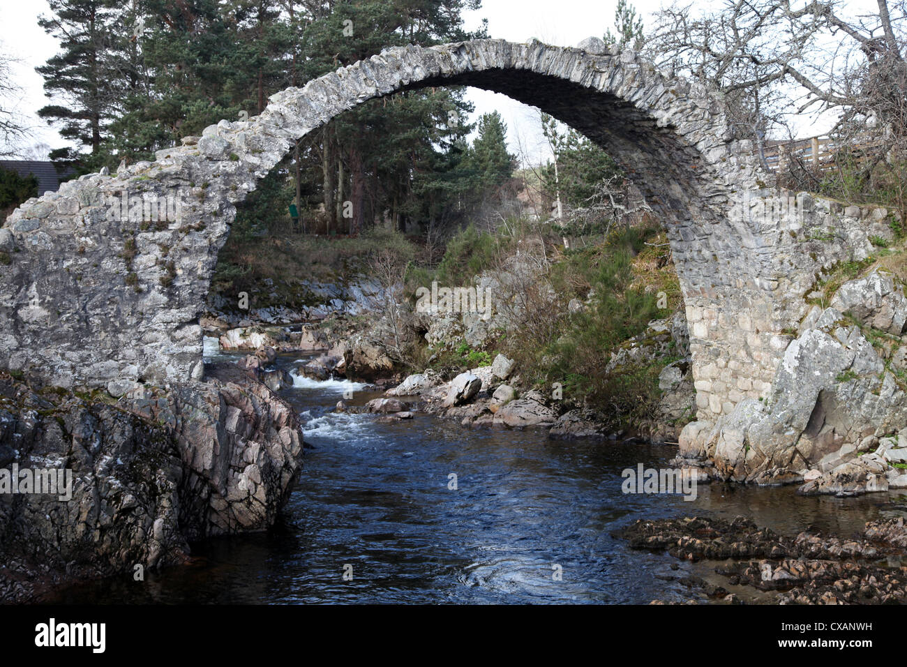 Alten Lastesel-Brücke in der Nähe von Forres, Morayshire, Schottland, Vereinigtes Königreich, Europa Stockfoto