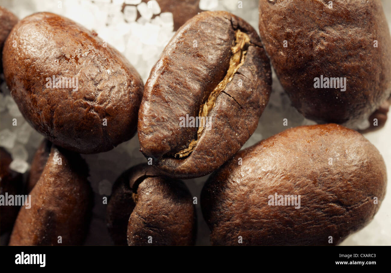eine Nahaufnahme von ein paar Kaffeebohnen auf einem Bett aus Zucker Stockfoto