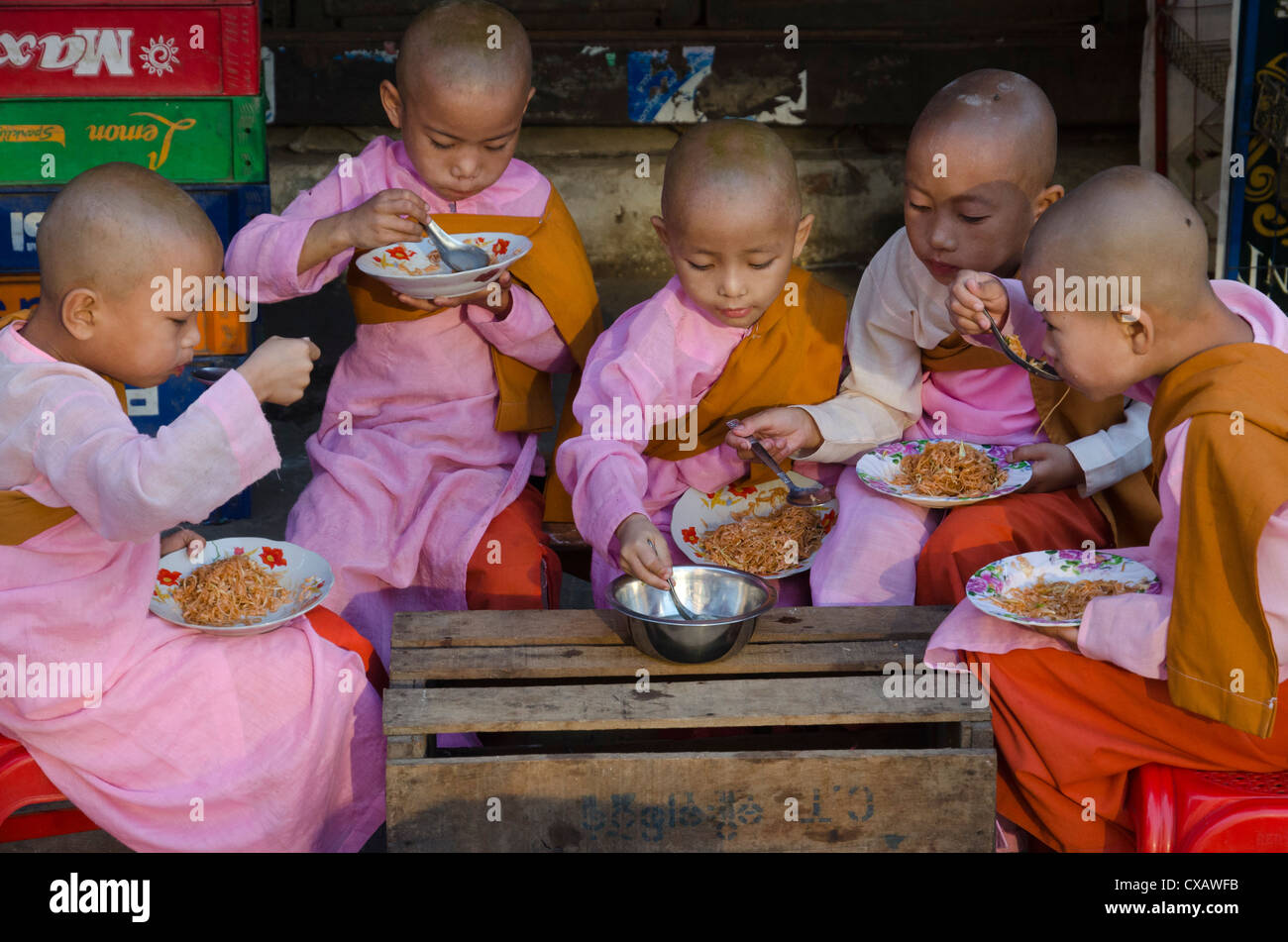 Junge Novizinnen ihren frühstücken in den Straßen von Yangon, Myanmar (Burma), Asien Stockfoto