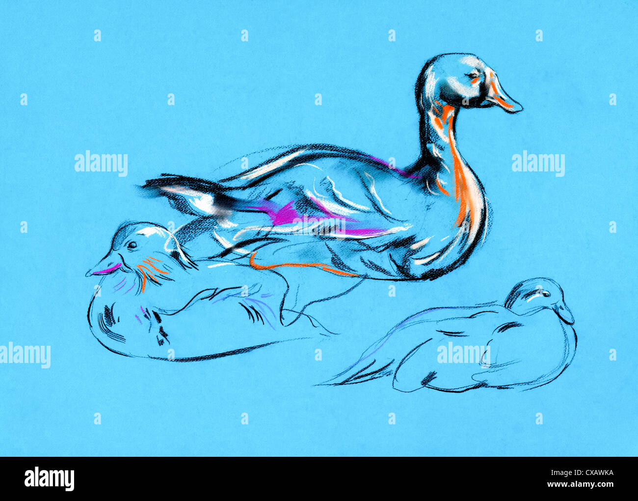 Original Pastell und handgezeichneten malen oder Skizze Ente arbeiten. Freie Komposition Stockfoto