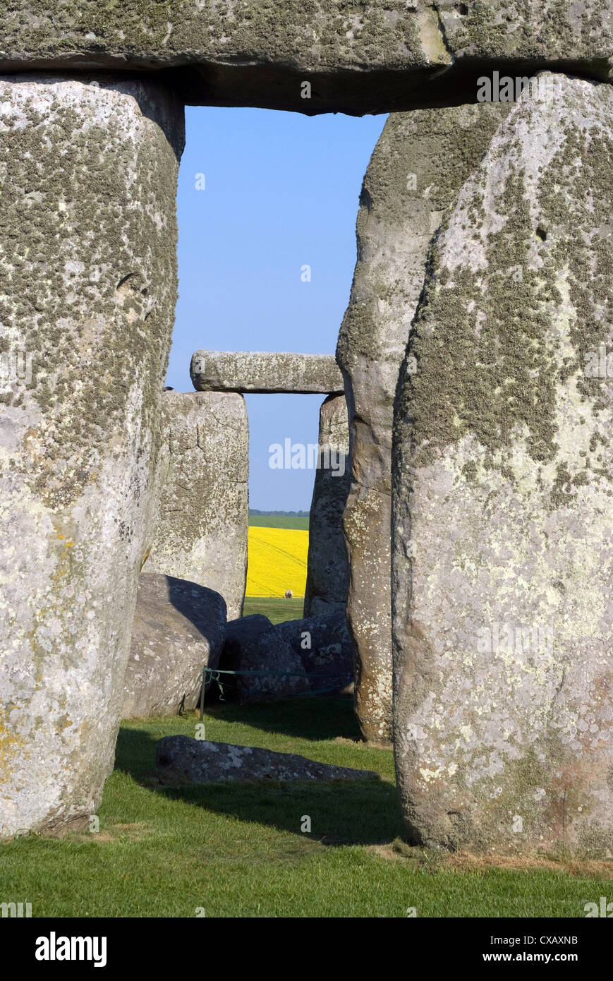 Die prähistorischen stehende Steinkreis von Stonehenge, aus der Zeit zwischen 3000 und 2000, UNESCO-Weltkulturerbe, Wiltshire Stockfoto