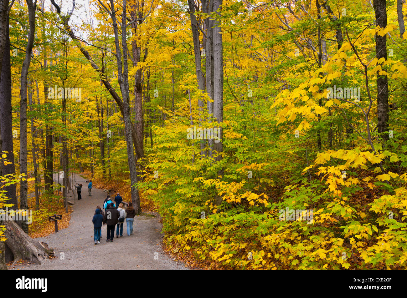 Franconia Notch State Park, New Hampshire, New England, Vereinigte Staaten von Amerika, Nordamerika Stockfoto