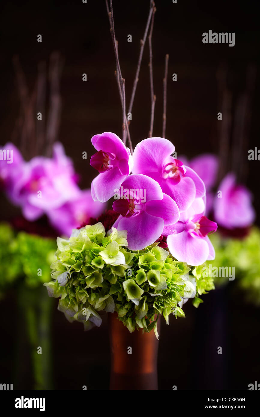 Orchidee und Hortensie Bouquet Stockfoto