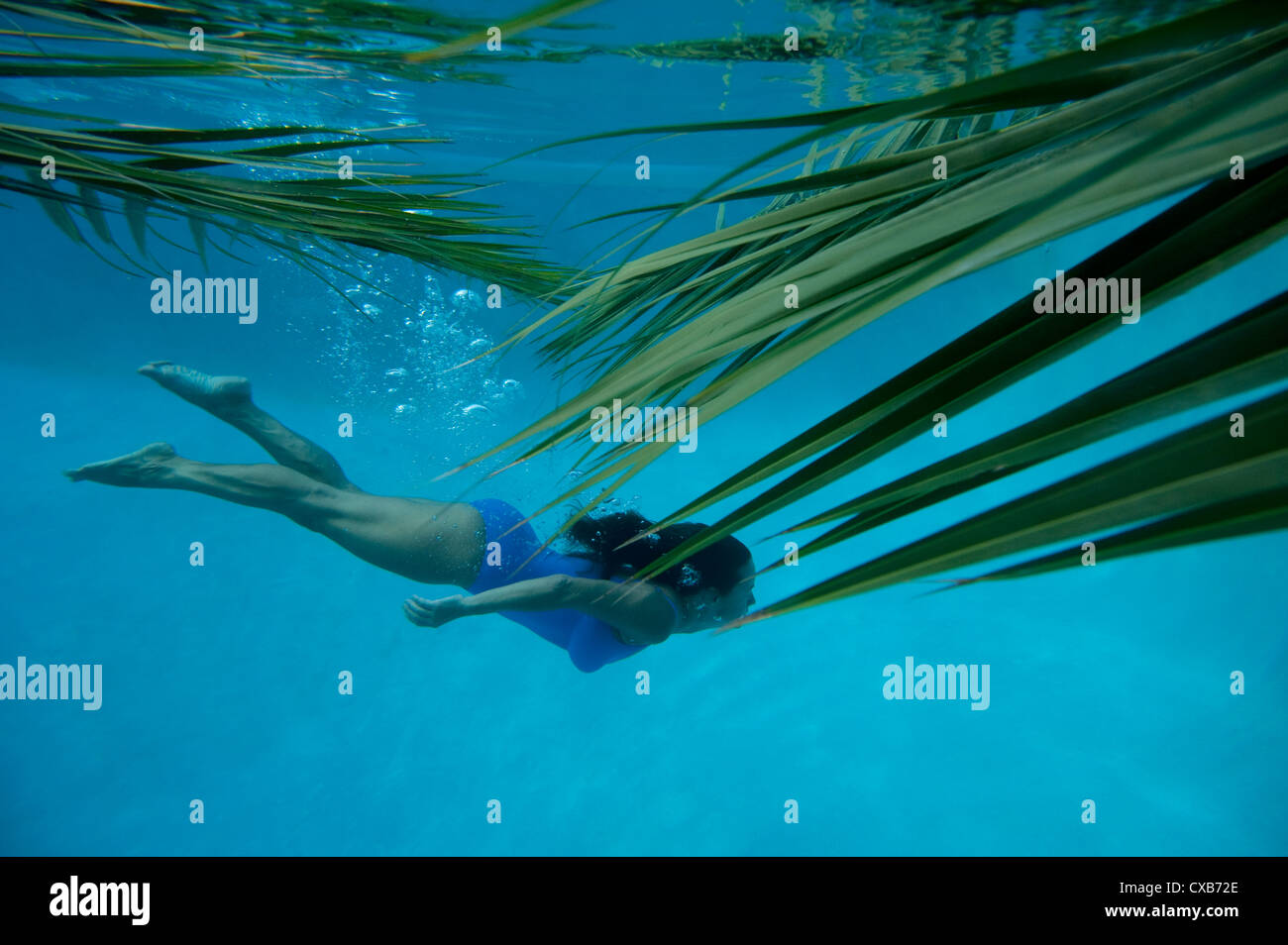 junge Frau Schwimmen unter Wasser umgeben von Palmwedel Stockfoto