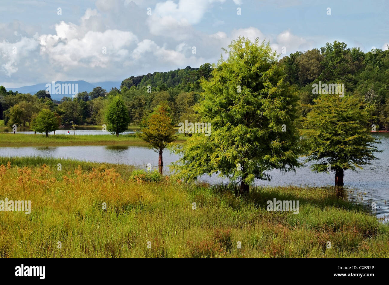 Ein schönes Seengebiet mit Bergen in der Ferne. Dies ist ein Sumpfgebiet des Lake Chatuge in Georgien. Stockfoto