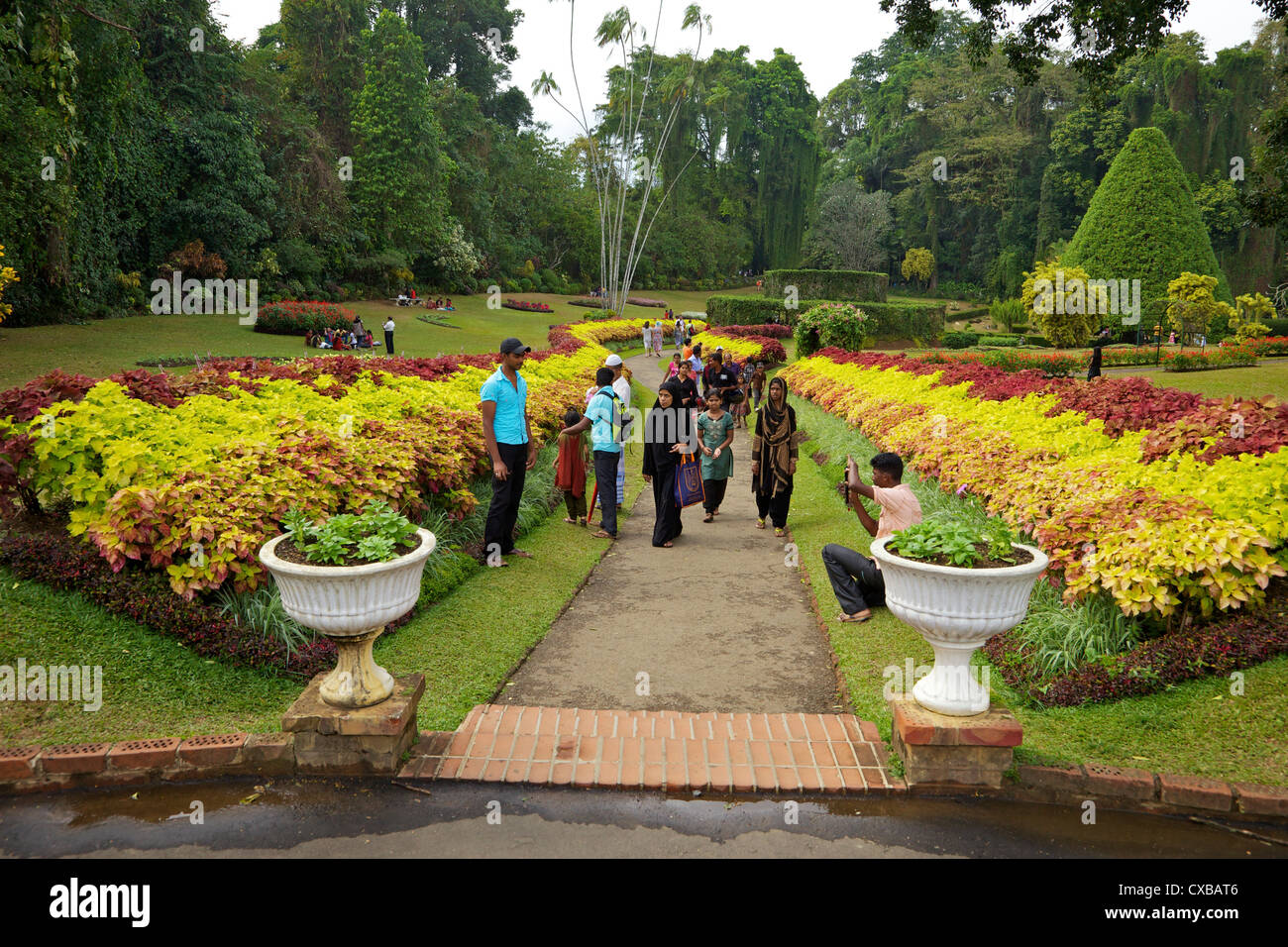 Besucher in den königlichen botanischen Garten in Peradeniya, Kandy, Sri Lanka, Asien Stockfoto