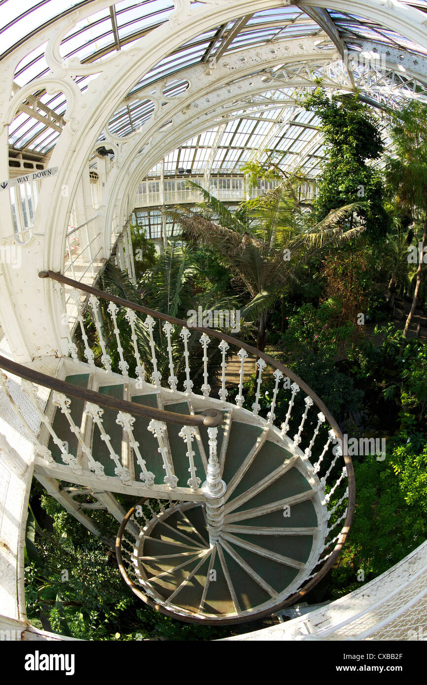 Wendeltreppe im gemäßigten Haus, Royal Botanic Gardens, Kew, UNESCO-Weltkulturerbe, London, England, Vereinigtes Königreich Stockfoto
