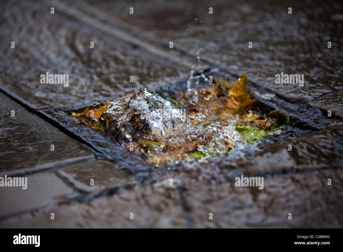 Regen Sie Wasser fließt auf ein Gitter mit Blättern in Birmingham, Großbritannien blockiert. Stockfoto