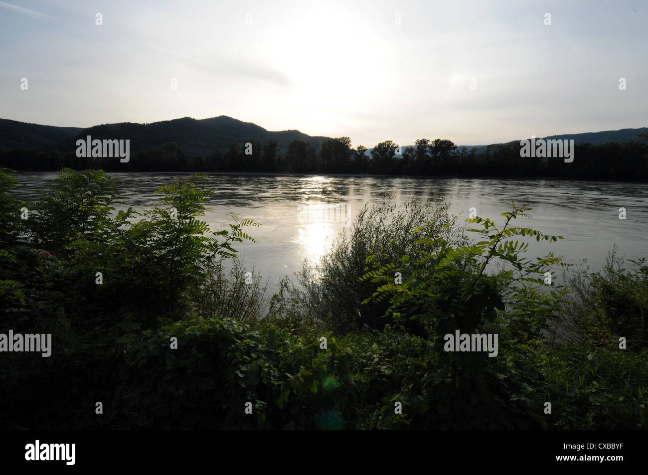 Sonnenlicht reflektiert auf der Donau, Dürnstein, Wachau, Österreich Stockfoto